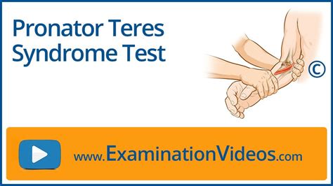 pronator compression test|pronator teres syndrome special test.